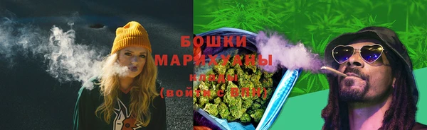 МДПВ Каменногорск