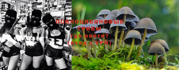 кокс Каменка