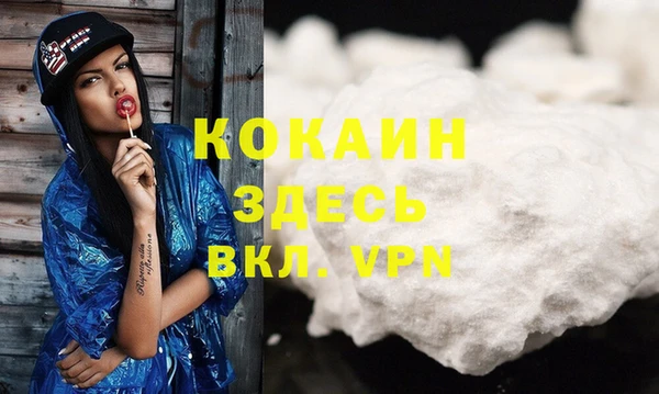 МДПВ Каменногорск
