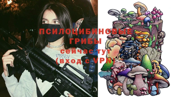 кокс Каменка