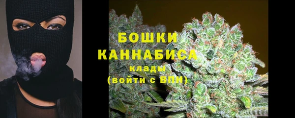 МДПВ Каменногорск