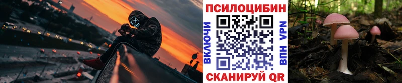 Псилоцибиновые грибы Cubensis  Купить закладки  Тобольск 